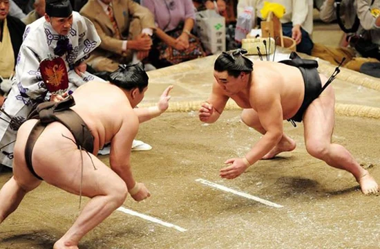 Le sumo